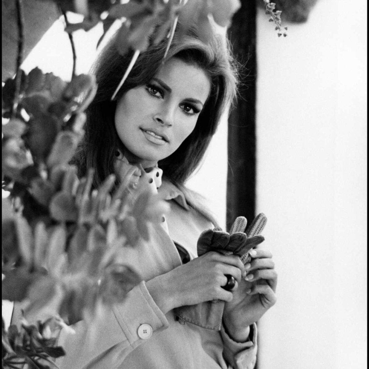 Raquel Welch Sex Symbol Des Ann Es Et Est Morte Bondamanjak