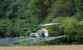 Martinique : Nouvelle demande de dérogation à l'interdiction d'épandage de produits phytosanitaires par voie aérienne