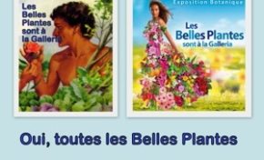 Publicité sexiste : encore et toujours !