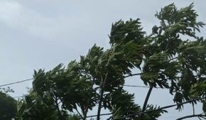 La tempête tropicale #Chantal : les premières photos