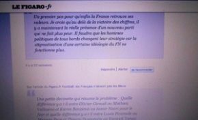 #Municipales 2014 en #Martinique : Jean-Luc #Fauss tente de vider la fosse à purin mais ça laisse septique