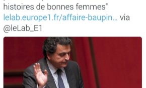 Baupin ? "Une histoire de bonne femme" (un député français)