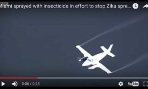 Zika Floride : Des avions déversent des neurotoxiques interdits... (vidéo)