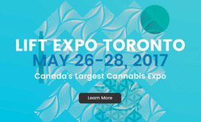 Lift Cannabis Business Conference !