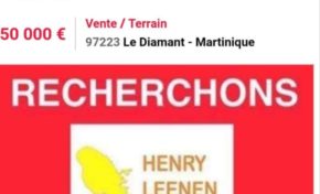 La Martinique a le cul entre continuité territoriale et égalité réelle