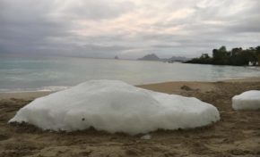 Des blocs de glace sur la plage de l'Anse figuier en Martinique...