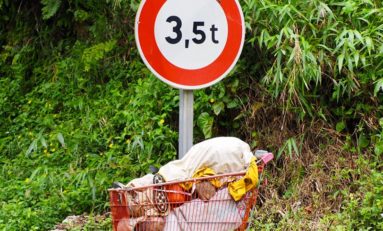 L'image de l'année 2019 en Martinique