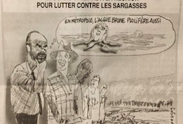 Selon le Canard Enchaîné il y a des algues sargasses à l'île de La Réunion 😳😳 😜😜😜🤣🤣😁😁