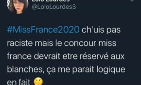 Clémence Botino est la  Miss France 2020...et pendant ce temps-là en France ça tweete ça...