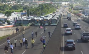 L'image du jour 18/12/19 - Martinique - Opération molokoy