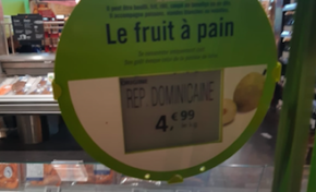 La République Dominicaine exporte des fruits à pain en France...en Martinique les politiques se grattent les graines