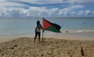 Drapeau Rouge Vert Noir aux Salines