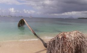 L'image du jour 01/01/20 - Pointe du Marin - Martinique