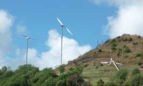 Découverte de trois débroussailleuses géantes en Martinique