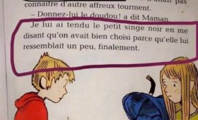 La planète des singes. Racisme ordinaire en 2020.