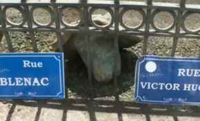 Victor Hugo et le comte de Blénac à la rue en Martinique