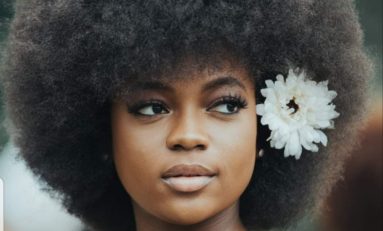 L'image du jour 18/08/20 - Afro