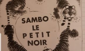 Nouvelle victoire pour les soucieux d'imagerie en Martinique