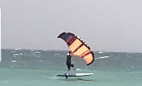 Wingsurf aux salines en Martinique