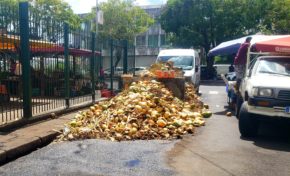 À Fort-de-France en Martinique...on dit la coco ou le coco ?