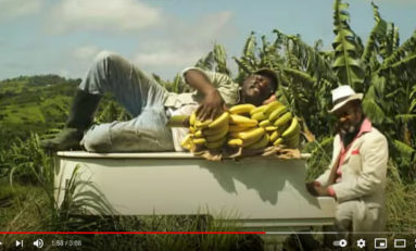 La banane de Martinique : "il faut la respecter" (disent-ils)... [vidéo-clip]