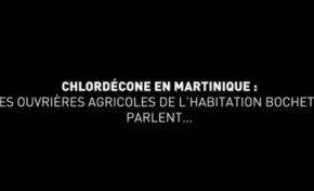 8 mars 2021 Journée internationale des droits des femmes : 3 femmes impactées par le scandale du chlordécone libèrent la parole en Martinique