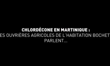 8 mars 2021 Journée internationale des droits des femmes : 3 femmes impactées par le scandale du chlordécone libèrent la parole en Martinique