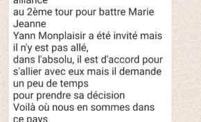 Élections Collectivité Territoriale de Martinique : quand les ENCULÉS-ES du MIM "copyrightent" leur connerie du nom de Gilles Dégras