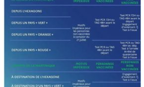 Test PCR pour les voyageurs martiniquais : les aberrations de notre situation coloniale