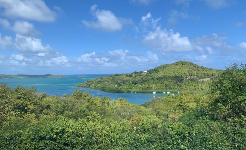 Images du jour 18/12/21 - Martinique