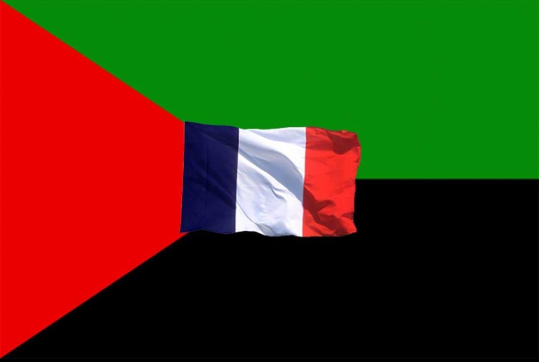 La Martinique a désormais son drapeau et son hymne - Martinique la 1ère