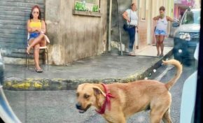 Quand la Martinique a la tête dans le Luc 📷...