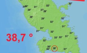 38,7 °c en Martinique...mais pas de canicule pour les N.E.G.R.E.S !!!