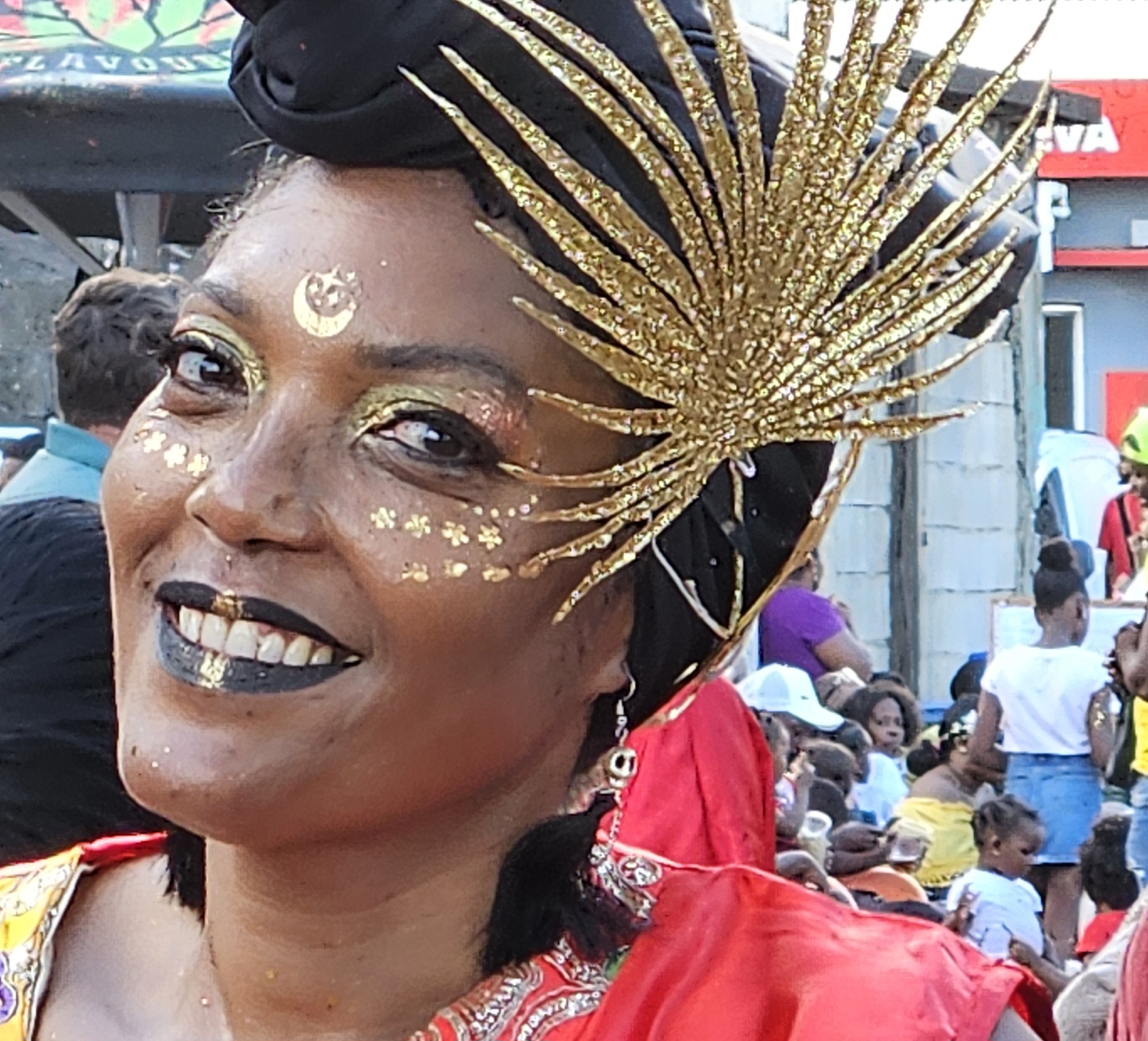 Image du jour 21/01/24 - Carnaval-Sainte-Marie - Martinique - Bondamanjak