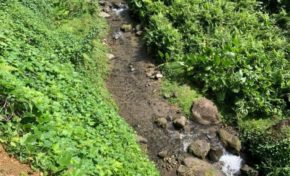 Scandale de l'eau en Martinique : Dany Chomet libère la parole