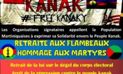 Kanaky Solidarité