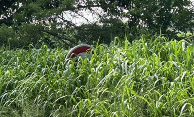 Ne tombez pas dans le panneau...la Collectivité Territoriale de Martinique travaille pour vous...chè