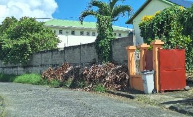 Collecte des déchets verts : la CACEM veut-elle mettre le feu sur son territoire en Martinique ?