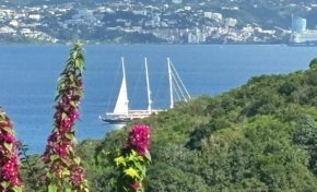 Bateau tout beau dans la belle baie