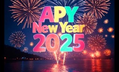 APY New Year 2025 by BondaManJak